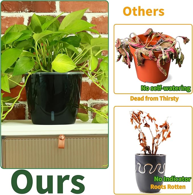 Planterhoma 6.7 Inch Self Watering Pots for Indoor Plants, 6 Packs African Violet Pots with Indicator, Black Wick Pot with Drainage Holes, Self Watering Planters for Orchid, Devil's Ivy, Black