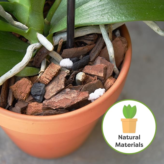 All Natural Orchid Potting Mix by Perfect Plants - 8 Quarts Special Blend for Proper Root Development on All Orchid Plant Types