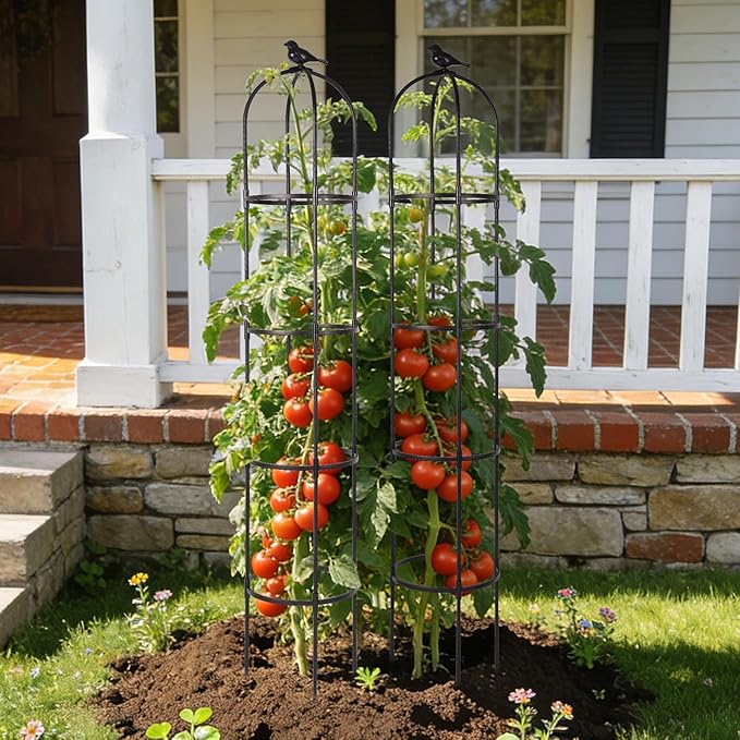 Garden Obelisk Trellis for Climbing Plants Outdoor, 6.3 ft Tall Trellis for Roses Clematis Jasmine Ivy Flower Light Climbing Vines Potted Plant Support, Patio, Yard, Black, 1PCS