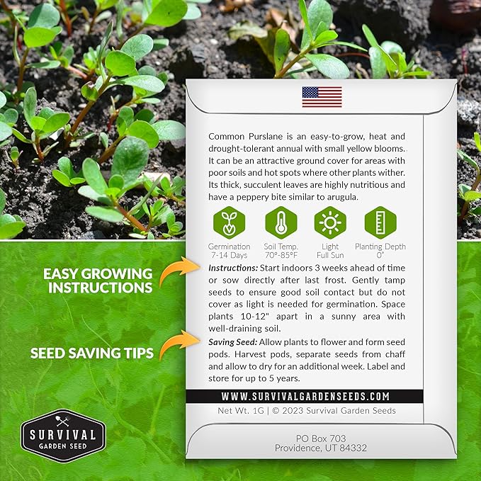 Purslane Seeds for Planting - Edible Green Portulaca Oleracea Verdolagas Heirloom Non-GMO Vegetable Seed for Home Garden - Survival Garden Seeds (1 Pack)