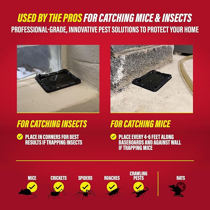 Catchmaster-8 Mouse & Insect Glue Traps, Heavy-Duty Pesticide-Free Sticky Mouse Traps Indoor for Home, Used by The PROs, Adhesive Rodent & Bug Catcher, Pest Control for House & Garage
