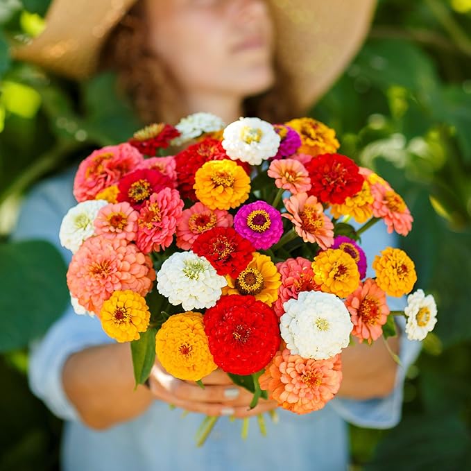 Eden Brothers Zinnia Seeds - Pumila/Cut & Come Again Mix, Non-GMO Seeds for Planting, 1 lb | Low-Maintenance Flower Seeds, Plant During Spring, Zones 3, 4, 5, 6, 7, 8, 9, 10