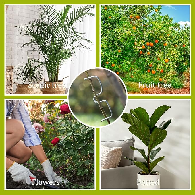 MorningRo 50 Pcs Fruit Tree Limb Spreaders Plant Tying Machine Puller Branchs Preaders Plum Tree Open Angle Pull Branch Stereotyped Tying Bending Farm Tools, M-3.94(Inch), Galvanized