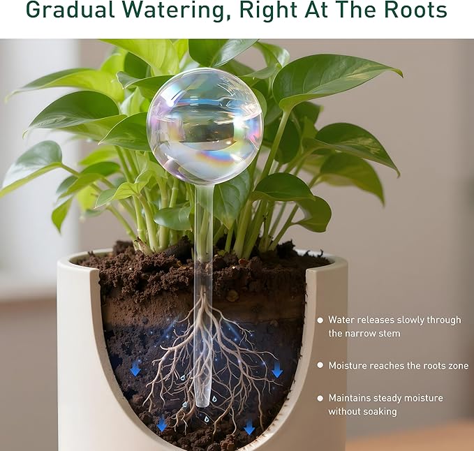 Soilagua Large Extra-Thick Clear Glass Plant Watering Globes, Rainbow Gradient Self Watering Devices for Indoor & Outdoor Plants, Automatic Waterer Spikes, Perfect for Daily or Vacation Use, 4-Pack
