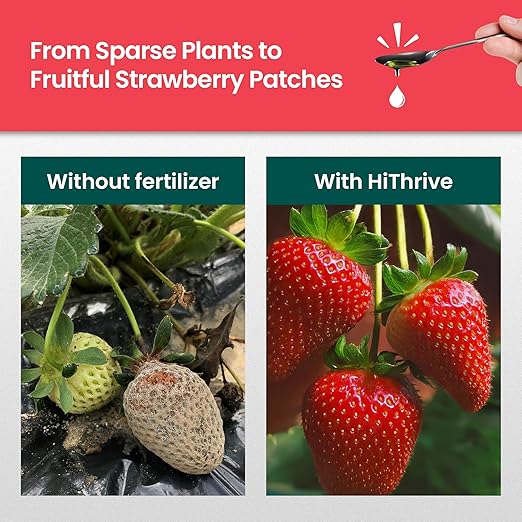32oz Strawberry Fertilizer - Makes 32 Gallons of Fruit Tree Fertilizer for Strawberries, Liquid Plant Food Outdoor, Ideal Strawberry Plant Food for Lush Growth & Bigger, Sweeter Strawberries