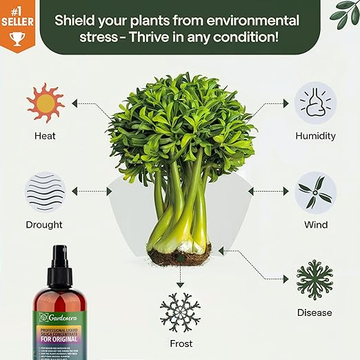 𝐏𝐑𝐎𝐅𝐄𝐒𝐒𝐈𝐎𝐍𝐀𝐋 Liquid Silica Plant Supplement - 32oz - MONEY TREE Plants Liquid Silica Boost Fertilizer - Stronger Stems & Healthy Leaves for Indoor & Outdoor Money Trees (Makes 180 Gallons)