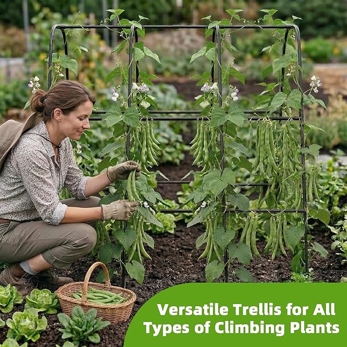 Garden Arch Trellis for Climbing Plants, Plastic-Coated Steel Trellis with Easy-Connect System, Includes Net, Ties & Gloves, Outdoor Plant Support for Vegetables (47.2" L x 47.2" H)