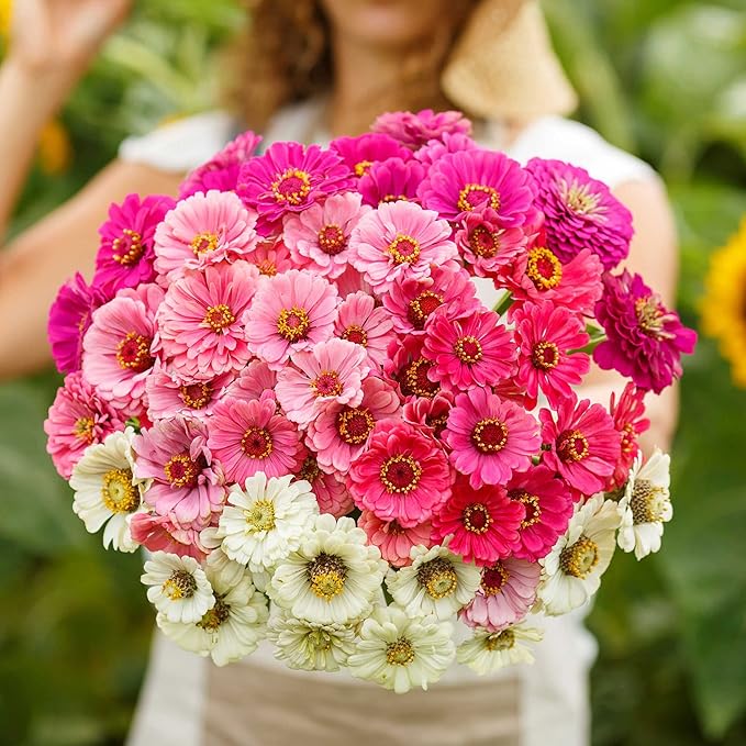 Eden Brothers Zinnia Seeds - Show Stopper Mix, Non-GMO Seeds for Planting, 1 oz | Low-Maintenance Flower Seeds, Plant During Spring, Zones 3, 4, 5, 6, 7, 8, 9, 10