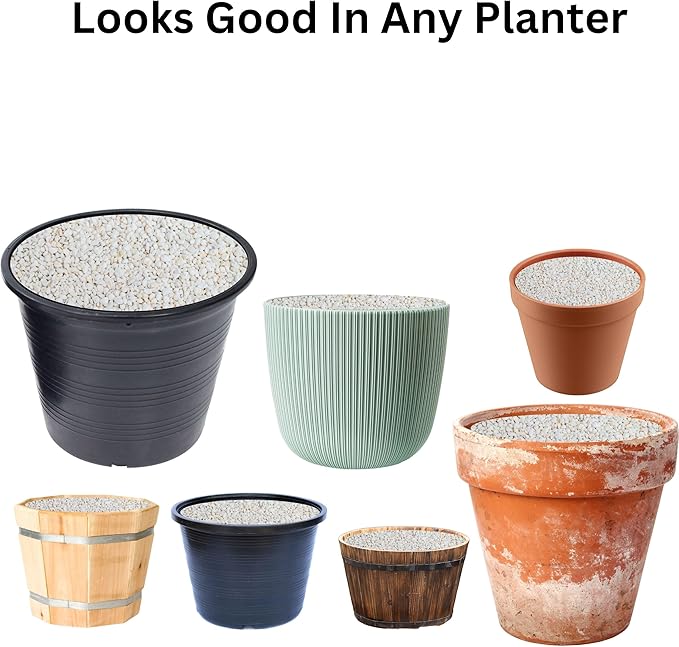 Organic Perlite for Plants - Ideal for Potting Mix & Indoor Gardening - Premium, All-Natural - 2 Quart