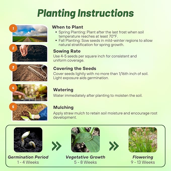 Outsidepride English Plantain Seeds for Planting - 5,000 Pcs Perennial, Easy-to-Grow Herb Seeds for Culinary, Farm & Household Uses, Low-Growing Foliage for Tropical & Subtropical Climates