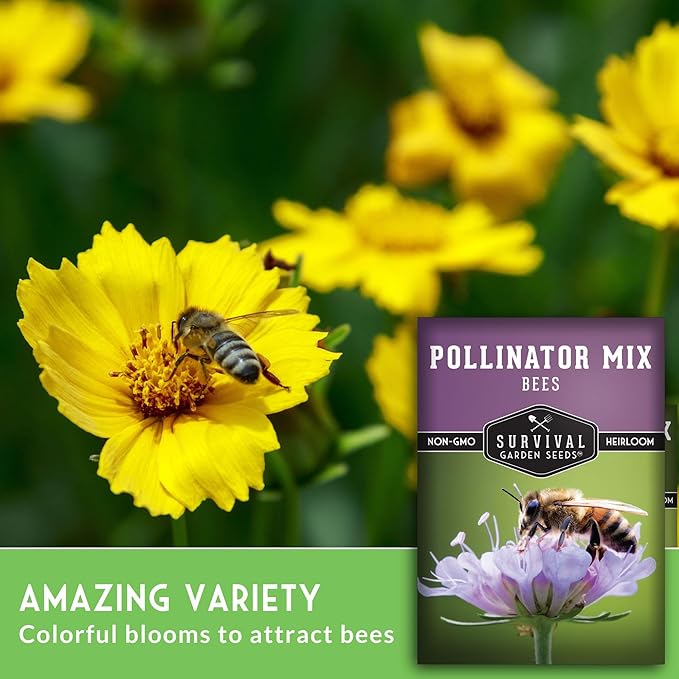 5 Packs Bee Pollinator Mix Seed for Planting - Packet with Instructions to Grow Annual & Perennial Flowers to Feed Bees in Your Home Garden - Non-GMO Heirloom Varieties - Survival Garden Seeds