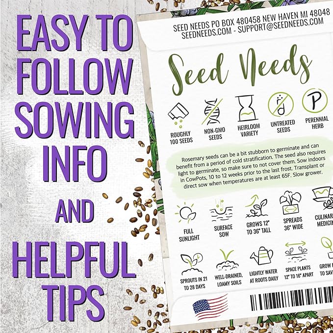 Seed Needs Rosemary Seeds for Planting - Non-GMO Heirloom & Untreated Perennial Herbs to Plant a Medicinal & Culinary Kitchen Garden Indoors or Outdoors (5 Packs)