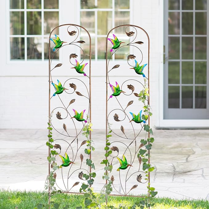 2 Pack Metal Garden Trellis with Colorful Hummingbird 60 Inch High Outdoor Decoration Arched Fence Trellis for Climbing Plants for Patio, Lawn, Yard, Backyard, Wall Brackets