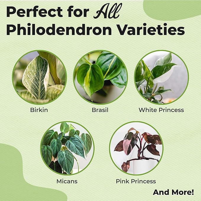 Ready-to-Use Philodendron Foliar Mist by Perfect Plants | Indoor House Plant Food for Foliage Growth | Balanced Liquid Nutrient Blend (8 fl oz)