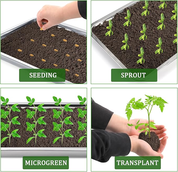 Youeon 10 Pack Seed Starter Tray 15.3x11.4x1.3 Inch, Stainless Steel Seed Sprouting Trays Germination Trays for Beans, Wheat Grass, Herbs, Broccoli & More, Plant Trays for Indoor Outdoor