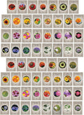 Set of 62 Premium Variety Flower Seed Packets - Heirloom Non-GMO and Proudly Sourced in The USA (62)