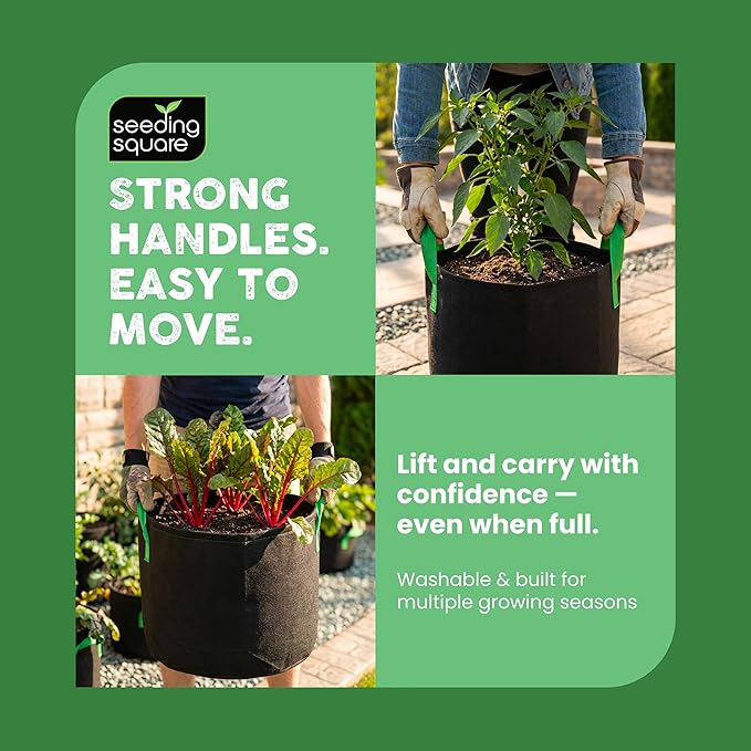 Seeding Square Fabric Grow Bags (7 Gallon) – Durable, Reusable Air-Pruning Plant Pots for Vegetables, Fruits & Herbs – Eco-Friendly Breathable Planter Bags for Healthy Roots & Bigger Harvests