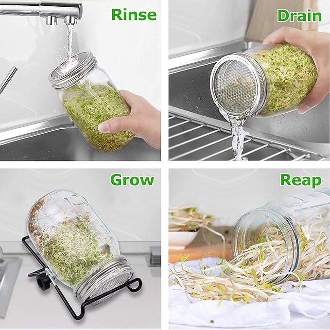 Sprouting Jar Kit, Wide Mouth Quart Mason Jars with Screen Sprout Lids & Stand, Seeds Germination Growing Kit, Seed Sprouter Set for Growing Organic Broccoli Alfalfa Mung Microgreens Bean, 2 Pack