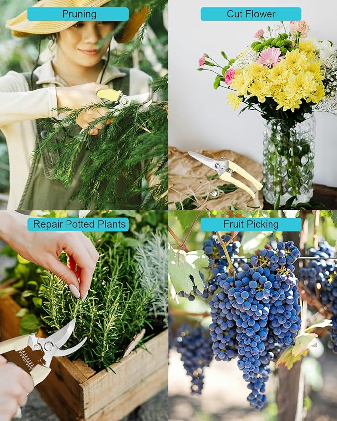 Garden Scissor for Plant, 4 Pcs Floral Scissors, Tip Pruning Shears Bulk for Cutting Flowers, Bonsai, Fruits and Trimming Plants