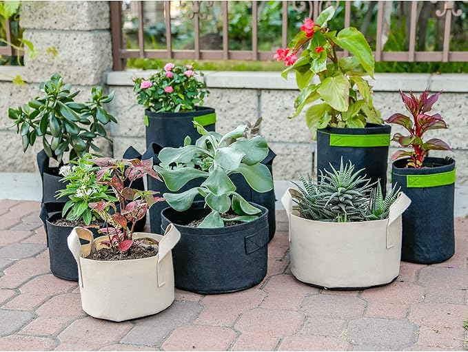 247Garden 2-Pack 100-Gallon Aeration Fabric Pot/Plant Grow Bag w/Handles (300GSM, Black, 18H x 40D)