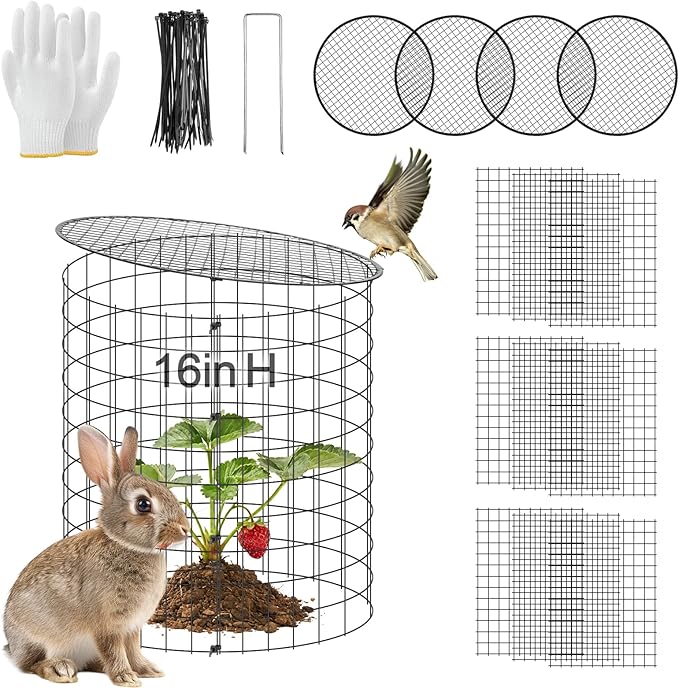 16''H x 11''Dia Plant Protectors from Animals - Full-Protection Anti-Rust Plant Cages with Covers for Outdoor Plants, Wire Garden Cloches for Plants Strawberry Keeping Chicken Rabbits Out, 4 Sets