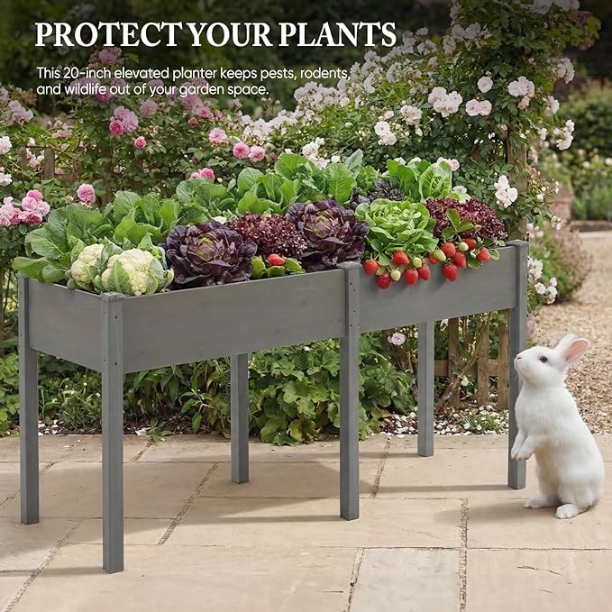 DUMOS Raised Garden Bed with Legs, 72x23x30 Inch Planter Box Outdoor with Liner for Herbs Flowers Vegetables, Elevated Wooden Garden Bed for Patio, Balcony and Backyard, Grey