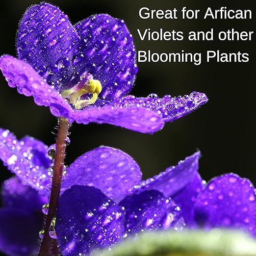 Houseplant Hero African Violet & Blooming Plant Food - 8-10-8 House Plant Fertilizer (8 Ounces)