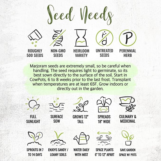 Seed Needs Sweet Marjoram Seeds for Planting - Heirloom, Non-GMO & Untreated - Perennial Culinary & Medicinal Herbs for Indoor/Outdoor Growing (2 Packs)