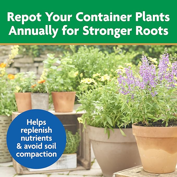 Miracle-Gro Moisture Control Potting Mix, For Container Plants, Protects against Over- and Under-Watering, 6 qt.