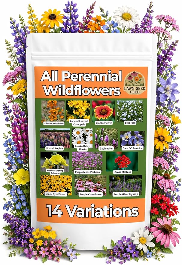 All Perennial Wildflower Seed Mix (2oz) Long-Blooming Flowers for Pollinators, Hardy Perennials for Gardens, Meadows & Landscapes