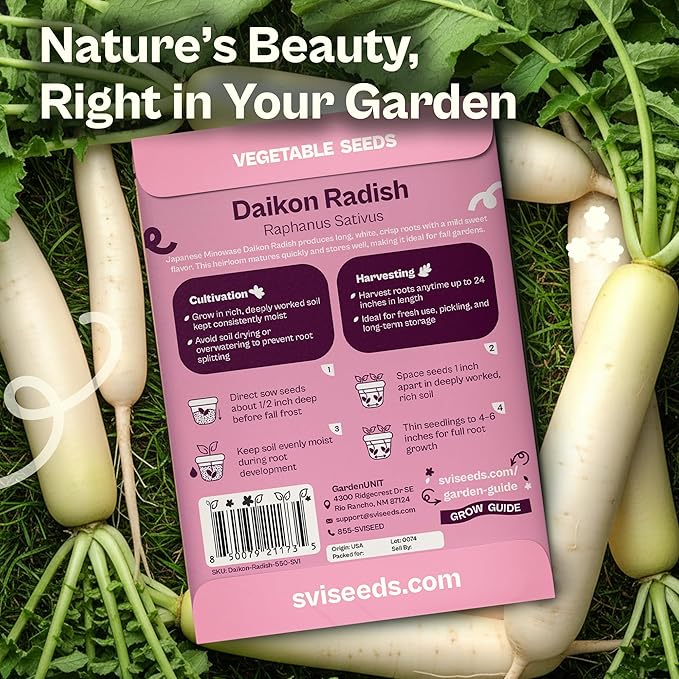 SVI 550 Daikon Radish Seeds (Raphanus sativus) – White Radish Seed Packets, 45-Day Radishes Harvest, Raddish Seed Pack – Heirloom Vegetable Seeds for Vegetable Garden Outdoors, Bed Japanese Garden