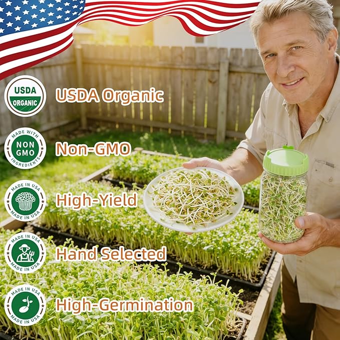Organic Radish Sprout Seeds (16 oz), Certified Non-GMO, Heirloom Seeds, Premium Radish Sprouting Seeds for Sprouting and Microgreens, High Yield High Germination, Resealable Bag