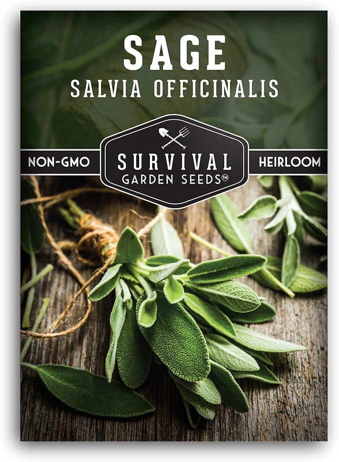 1 Pack Culinary Sage Seed for Planting - Packet with Instructions to Grow Salvia Officinalis Herbs in Your Home Vegetable Garden - Non-GMO Heirloom Variety - Survival Garden Seeds