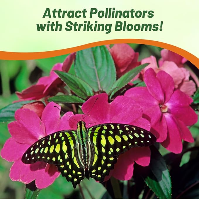 Outsidepride Xtreme Sapphire Mix Impatiens Flower Seeds - 100 Pcs Annual, Compact & Pollinator Friendly, Impatiens Seeds for Planting w/Vibrant, Abundant Blooms for Shade Gardens & Container Displays