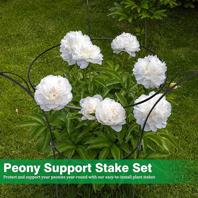 6 Pack Peony Cages and Supports Cages 13" D x 22.8" H Heavy Duty Metal Support Frame for Peonies & Roses Natural Bouquet Shape Garden Stakes for Outdoor Plants Flowers Ornamental (Black)