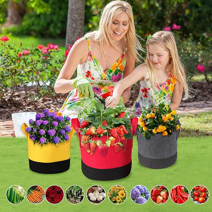 Grow Bags 5Gal/7Gal/10Gal * 2 ，6 Pack Vegetable/Flower/Plant Grow Bags ，Plant Fabric Pots with Handles for Garden and Outdoor Planting (6 Colour, 10 Gallon)