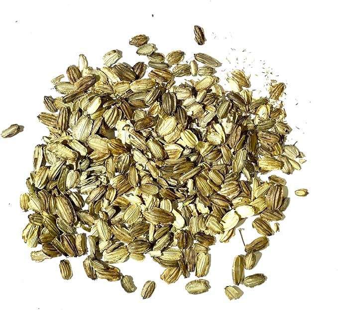 Seed Needs Angelica Seeds for Planting Angelica archangelica - Non-GMO Heirloom & Untreated Medicinal Herbs to Grow an Indoor or Outdoor Home Grown Garden (5 Packs)