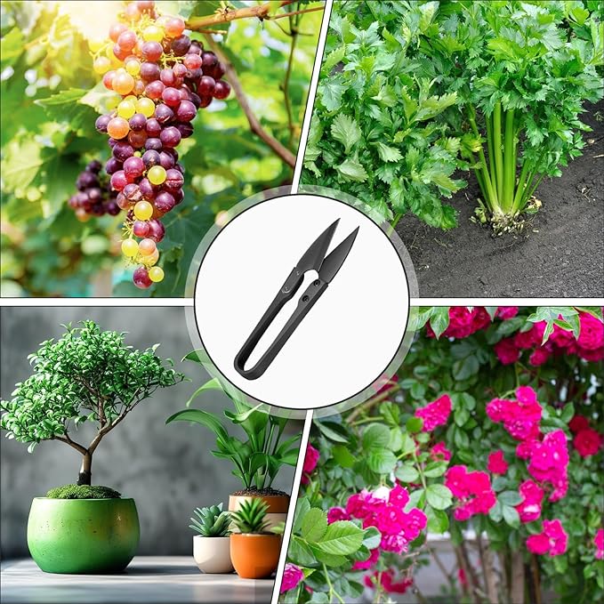 4PCS Mini Bonsai Pruning Scissors, Small Pruner Shears Bud Leaves Trimmer Stainless Steel Gardening Clippers for Flower Bud and Bonsai Trimming Pruners Trimmers for Sewing Gardening(Black)
