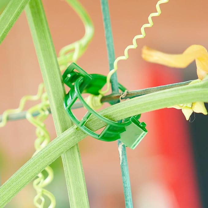 300Pcs Garden Vine Plant Support Clips,Plastic Fixing Clips for Securing and Training Climbing Plants,Tomatoes,Grapes,Vine Vegetables and Potted Plant (300, Black)
