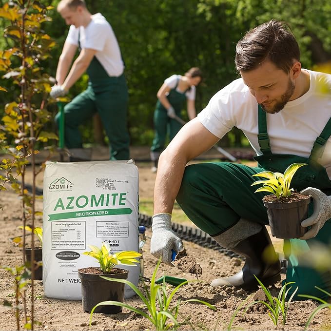 Azomite Raw Supply Organic Trace Mineral Powder 44LB Micronized, White