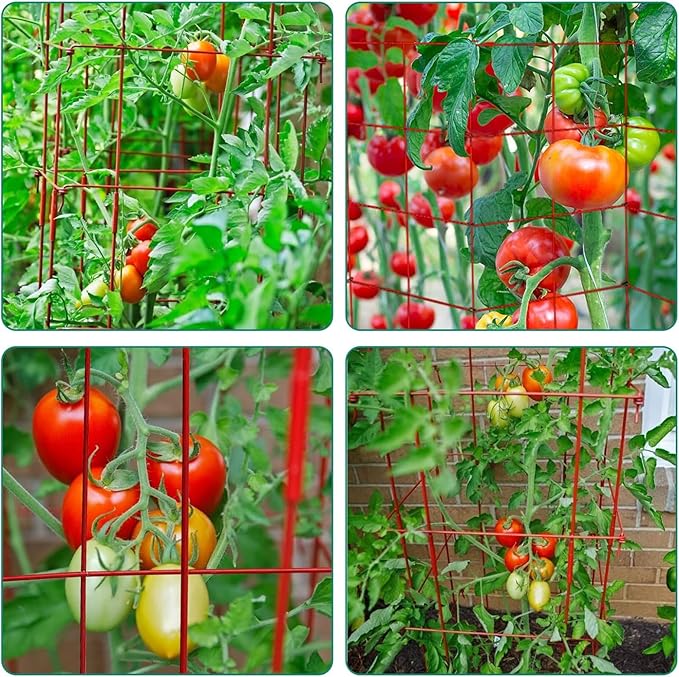 DoCred 4 Pack Tomato Cage, Folding Tomato Cage Heavy Duty Metal Square Tomato Cages Coated Steel Garden Plant Support Stake Tower for Climbing Vegetables, Plants, Flowers, Steel Red