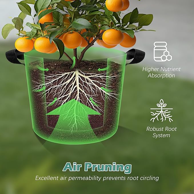5-Pack 5 Gallons Grow Bags - Heavy Duty 300G Thickened Aeration Nonwoven Fabric Pots with Handles - Ideal Cloth Pots for Plants - Planters Accessories, Garden Vegetables Supplies