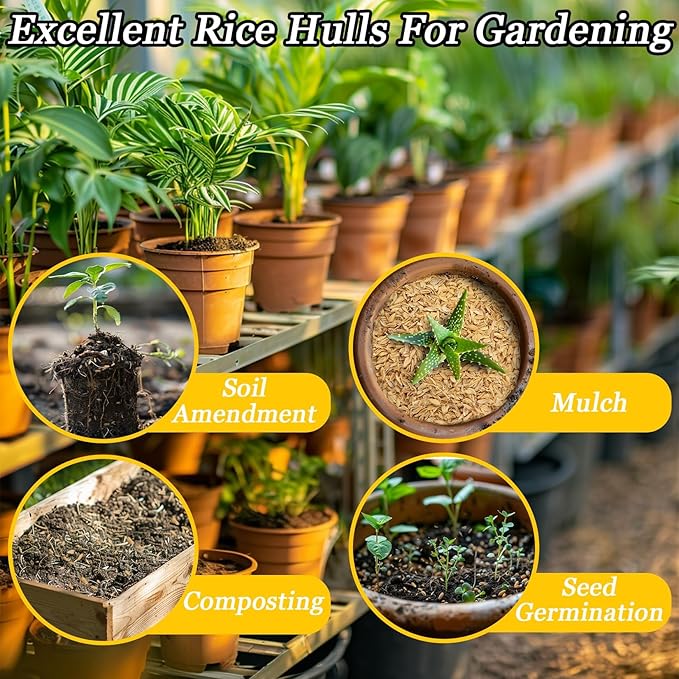 10.58 oz Horticultural Grade Rice Hulls for Plants – Natural Rice Husk Soil Amendment for Indoor Plants, Potting Mix & Gardening,Organic Use for Chicken Bedding Improve Soil Structure