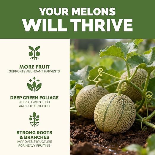 Melon Fertilizer – Liquid Plant Food for Bigger Melons, Stronger Vines & Better Fruit Development, 1 Gallon