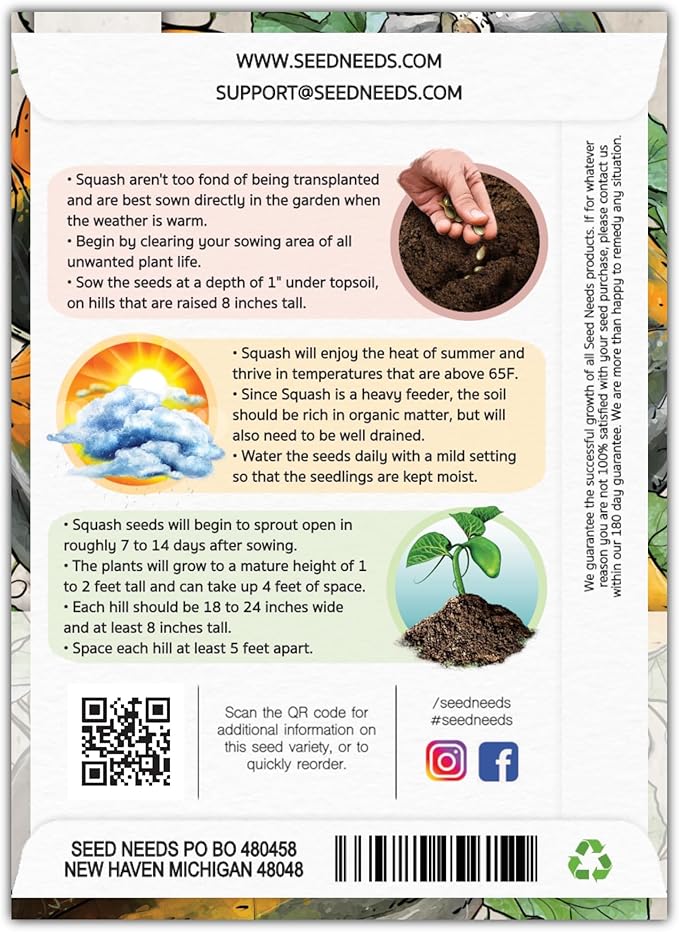 Seed Needs, Table King Acorn Winter Squash Seeds - 45 Heirloom Seeds for Planting Cucurbita Pepo - Non-GMO & Untreated Vegetable for an Outdoor Garden (5 Packs)