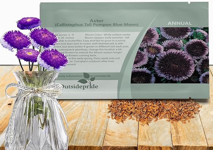 Outsidepride Tall Pompon Blue Moon Aster Seeds - 1000 Pcs. Annual, Hardy & Pollinator Friendly Flower Seeds for Planting Vibrant Disc-Shaped White-Blue Blooms, Ideal for Meadows & Aesthetic Gardens