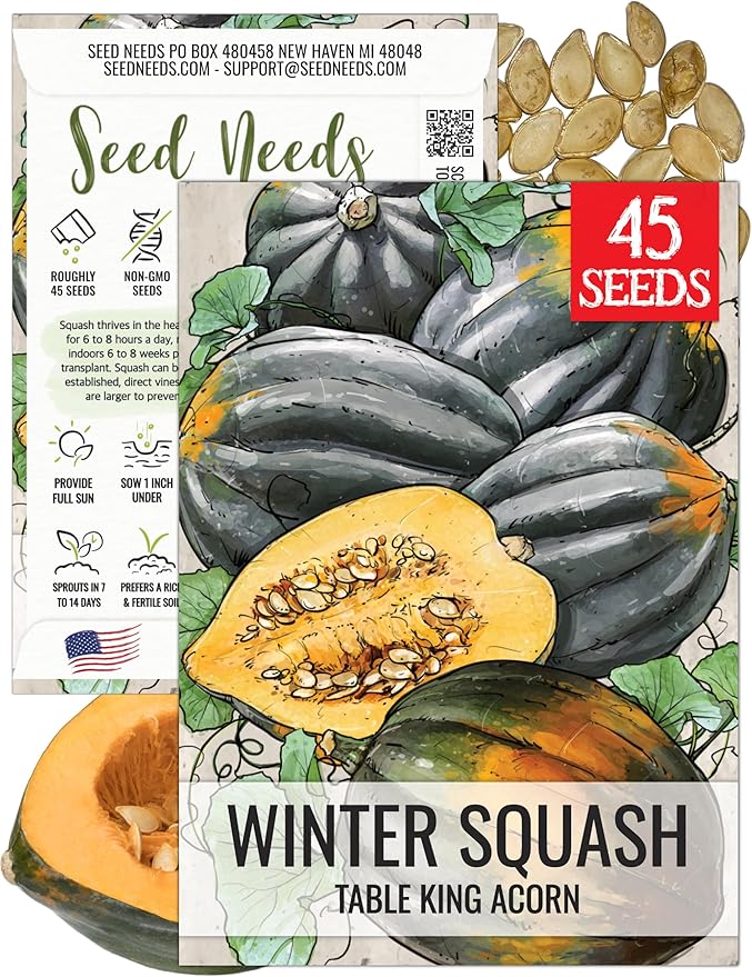 Seed Needs, Table King Acorn Winter Squash Seeds - 45 Heirloom Seeds for Planting Cucurbita Pepo - Non-GMO & Untreated Vegetable for an Outdoor Garden (1 Pack)