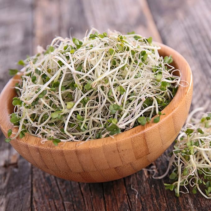 Handy Pantry Organic Sprouting Seed Assortments - Microgreens, Sprout Seeds Variety Pack (12 Pack - Beginners Dozen)