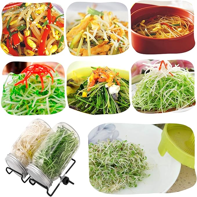 Lulonpon Sprouting Kit, One Pieces Seed Sprouting Jar Kit, Wide Mouth Quart Mason Jars with 304 Stainless Steel Screen Sprout Lids,86mm Caliber with Tray,Stand,Shading Bag and Brush,for Bean Sprouts