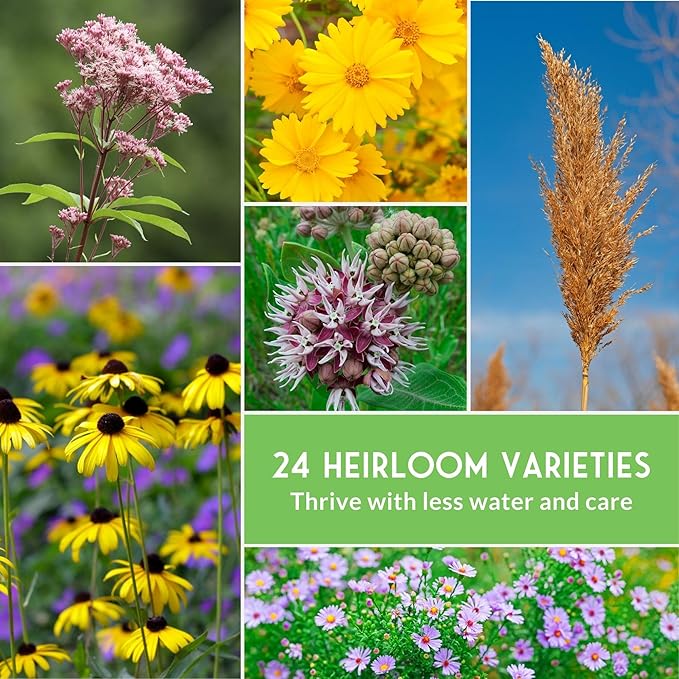 Native Wildflower Seeds for Planting 24 Variety Pack – Perennial & Annual North American Flowers for Butterfly & Bee-Friendly Pollinator Gardens – Non-GMO Heirloom – Survival Garden Seeds